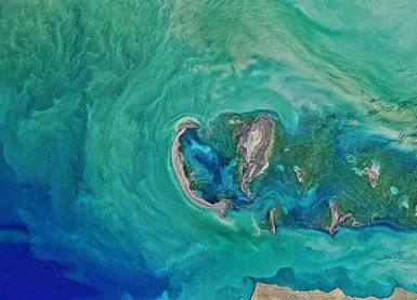 В районе экватора позеленела вода: открытие NASA вызывает вопросы