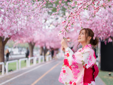 Япония тур весеннего цветения