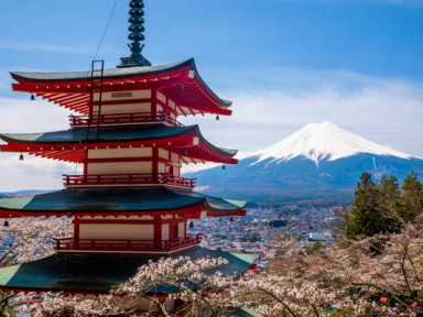 Панорама Японии - тур весеннего цветения