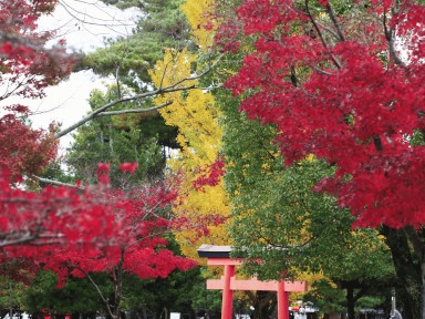 Япония осень