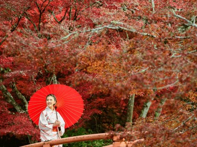 Япония краски осени. Прямые полеты в Токио