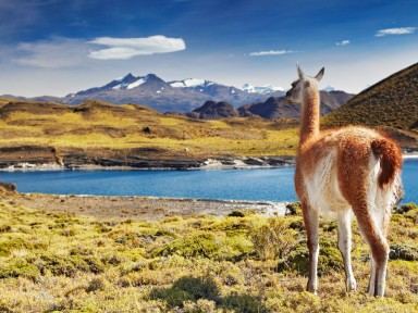 Экспедиция в Аргентину, Бразилию и Чили, включая ледники Патагонии